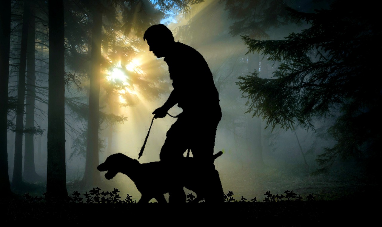 assurance chien de chasse